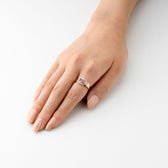 1341  Gradation  ring