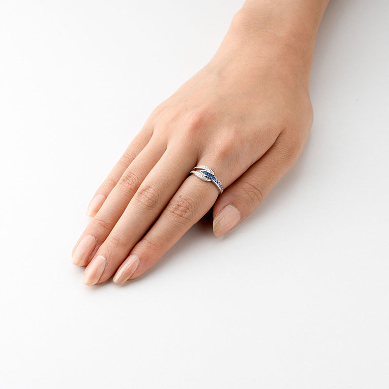 1338 Gradation  ring