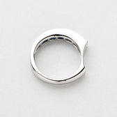 1376 Gradation  ring