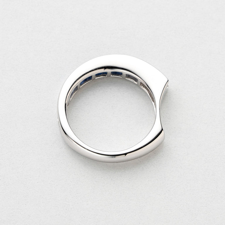 1376 Gradation  ring