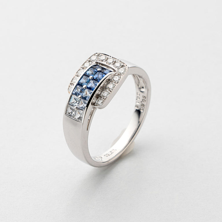 1339 Gradation  ring