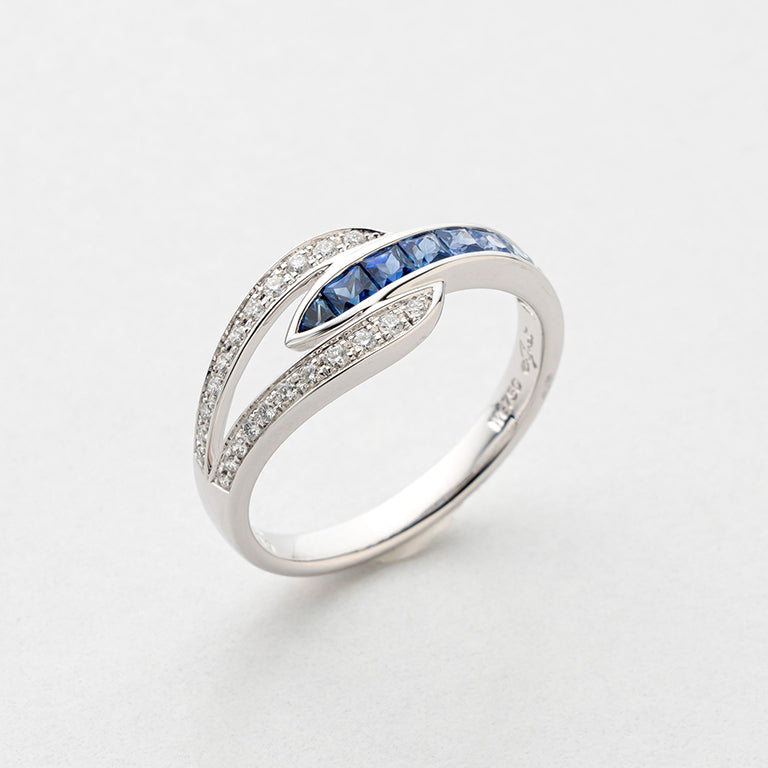 1338 Gradation  ring