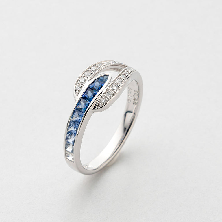 1338 Gradation  ring