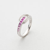 1338 Gradation  ring