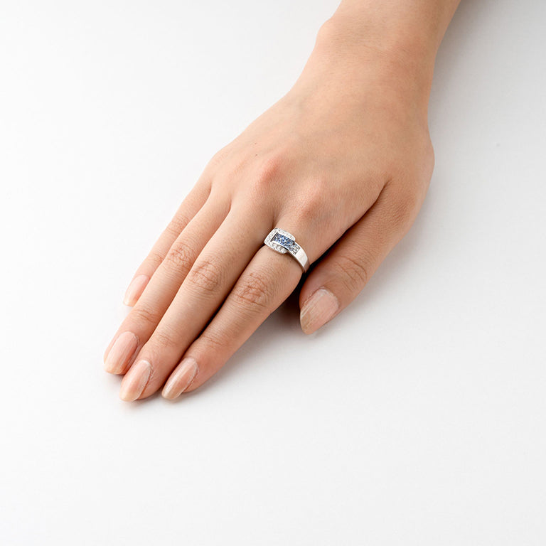 1339 Gradation  ring